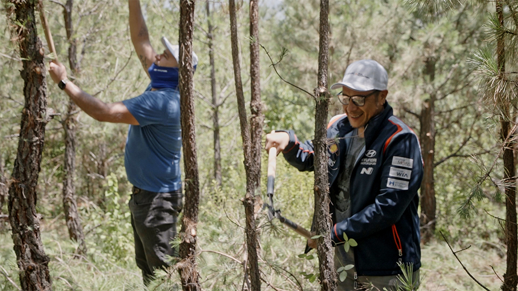 poda y el mantenimiento adecuado de los &aacute;rboles forestales Hyundai y Ayuda en Acci&oacute;n
